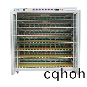 恆(heng)溫型電(dian)子負載(zai)老化櫃(gui)